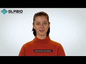 Phenylacetic Acid: Properties, Synthesis, Uses, and Safety Considerations | GlpBio