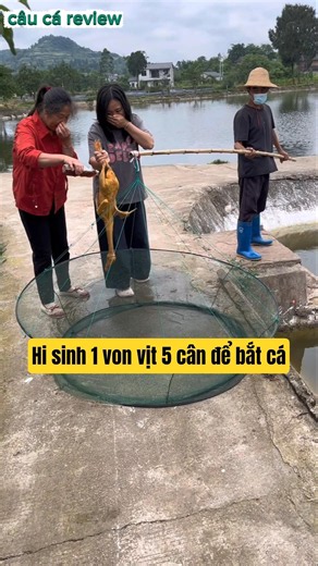gia đình này dùng 1 con vịt để cho vào võng rồi cho xuống sông bắt cá và cái kết #cauca #fishing
