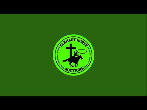 Elkhart Horse Auctions is live! Horse sale 10/4/2025