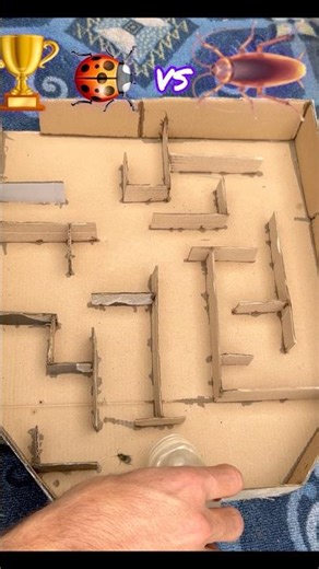 Extrem Maze Challenge bombardier centipede #gameplay #shorts #fyp #viralshorts #youtubeshorts