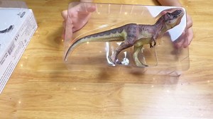Gemini&Genius Tyrannosaurus Rex Action Figure Toy, T-Rex Dinosaur with Moveable Jaw, Beautiful and Accurate Sculptures of Dino Toy Figure, Perfect for Gift, Collection, Display & Play for Kids