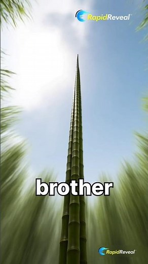 "This Bamboo Grows 35 Inches in a Day — Nature's Fastest Growing Plant in Stunning 4K"#shorts