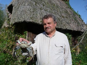 EN IMAGES. Invasion de crabes chinois dans le marais Vernier !