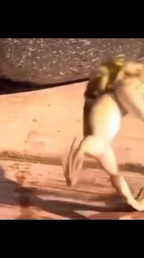 They must be learning from humans 😭😭 | Terrell green