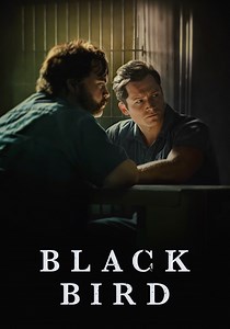 Black Bird - watch tv show streaming online