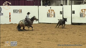 529K views · 2.9K shares | A world-record holder in AQHA Working Cow Horse, Shiney Outlaw is an outstanding performer and beautiful stallion. His owner Michelle Cannon, and trainer Sarah Dawson look forward to those traits continuing with the next generation. | Quarter Horse News | Facebook