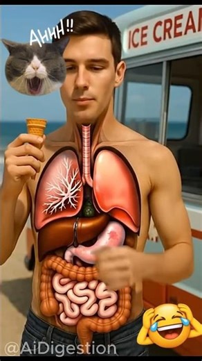 See the Human Digestive System in 3D 😲 | Stunning Anatomy Animation