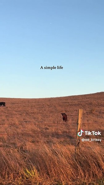 A Simple Life: Embracing Minimalist Living