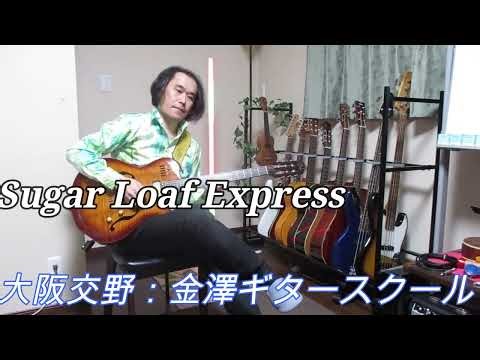 フュージョンギター「Sugar Loaf Express」