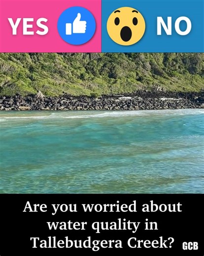 14K views · 69 reactions | Council have begun sharing live water quality testing results with the public, eight months after a lifeguard at Tallebudgera Creek spotted human faeces in the water. HAVE YOUR SAY  https://bit.ly/3IG57nU | Gold Coast Bulletin | Facebook