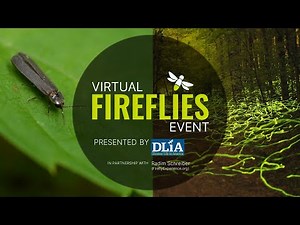 Second annual Virtual Fireflies Event presented by Discover Life in America