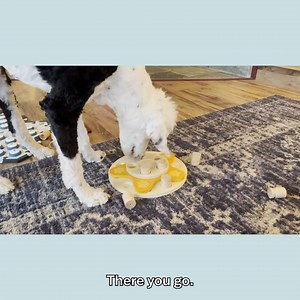 10K views · 415 reactions | Watch Bunny Solve The Flower Puzzle! | Whataboutbunny | Facebook