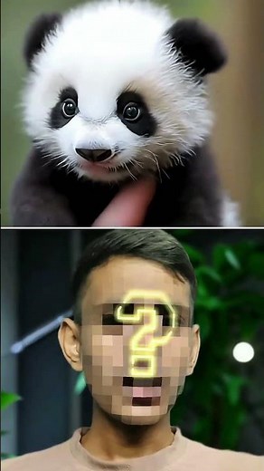 This Panda Acts Just Like a Human! 🐼😲 | Unbelievable Animal Story