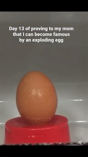 Day 13 of proving to my momthat I can become famous by an exploding egg
