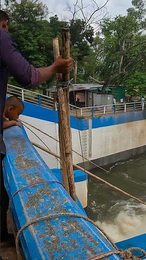 Catching Fish in the Water Current with a Push Net #PushNet #CurrentFishing #RiverFishing #handfish