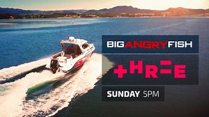 Milan and Nathan are going to Milan’s favourite kingfish spot in Tauranga Harbour, while Lubin is chasing some big angry trout in the river. Watch it on Sunday 5pm on NZ TV3/Three | The Lateral Line