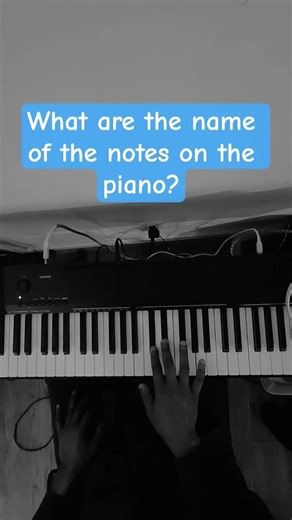 Piano note names #youlearnmusic #adultpianobeginner #pianobeginner #pianopractice #learnpiano