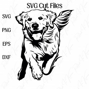 Golden Retriever SVG | PNG & More - Etsy Canada