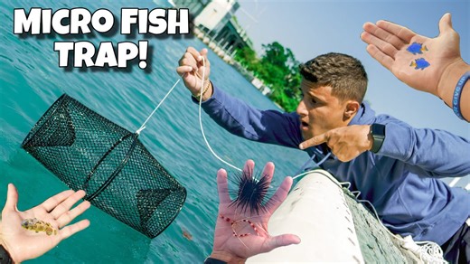 I caught tiny fish with this micro trap!🐟