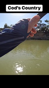 Some of the hook up’s from a quick overnight trip to Cod’s Country! #murraycodfishing #fishing | Cod Stoppa Lures & Fishing