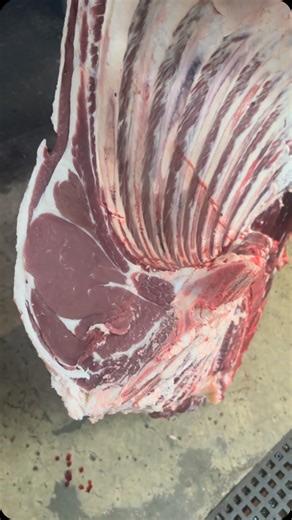 1.2K views · 801 reactions | He’s a bit lean that Bull with testicles #testicles #beef #lean #wednesday #easter #backbritishfarming #instamood | E V Slack & Sons - Master Butchers | Facebook
