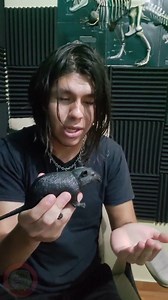aprende #lechuga #humor #minecraft #divertido #streamer | Lechuga Craw 2