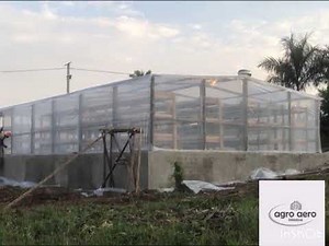 Installing a coffee solar dryer #postharvestTech