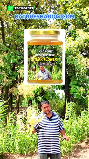 TEAK FLOWER NECTAR HONEY | Natureshadow.com