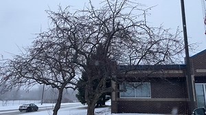 2 PM [12.30.25] ❄️⚠ Light to moderate snow will continue to fall across the region through late this evening. Reduced visibilities as low as 1 mile with road conditions becoming slippery/snow-covered for the evening commute. Take it slow this evening! Road conditions: https://511wi.gov | US National Weather Service Green Bay Wisconsin