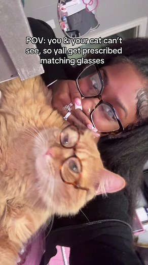 Matching Prescription Glasses for Cats and Owners