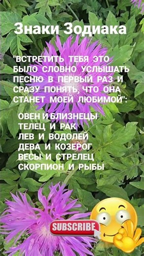 Знаки Зодиака. Встретить тебя это было... / 5938