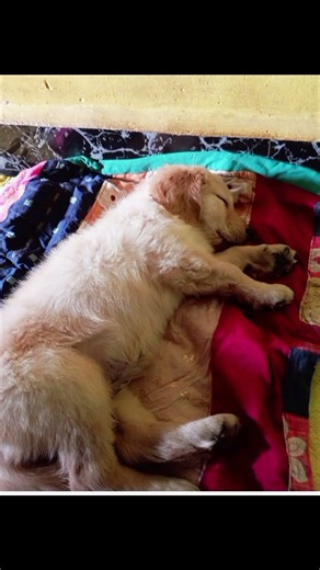 ♥️💕💞🫶🏻