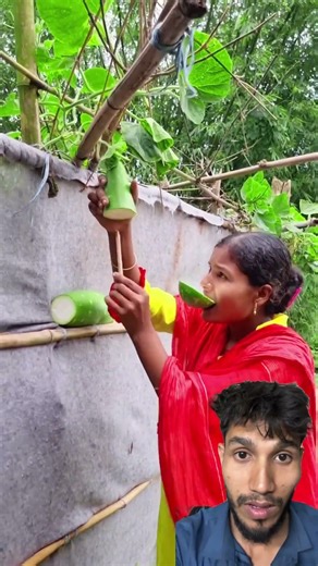 Top Learning Tools 🔥 for Tech Enthusiasts #shorts #shortsfeed #viralshorts 🔥🙏