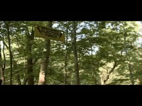 11 reactions | The Ultimate Deer Exclusion Fence Keeping deer away from our garden can be quite difficult. But one fence has proven very, very effective. You may not want to go to the lengths required with this fence but it’s interesting to see what really works. Click here for an interesting video. | GardenSMART | Facebook