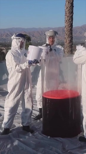 10K views · 246 reactions | Elephant toothpaste in my living room! | Arnie | Facebook