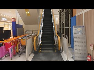 イトーヨーカドー アリオ橋本店 イエローエスカレーター 1F～2F のぼり【Escalator】Ario Hashimoto / Ito Yokado