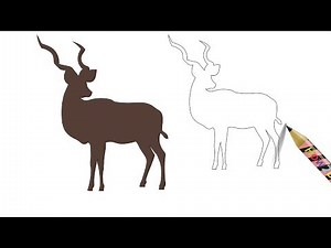 How to Draw a Kudu Animal Drawing Easy - Coloring Page