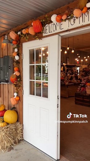 Best Pumpkin Patch in Upstate NY | Fall Travel Destination
