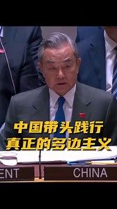 王毅阐述中方对完善全球治理的看法：中国带头践行真正的多边主义