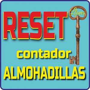 Clave WIC Reset Epson | Desbloquea tu Impresora | BioPrinter
