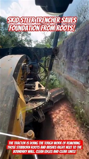 Skid Steer Trencher Saves Foundation from Roots! #shorts