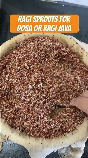 Ragi Sprouts at home | Millet sprout Guide | sprouts recipe in telugu