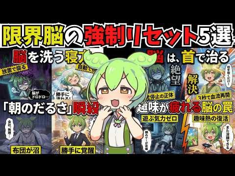 【神回TOP5】脳疲労と自律神経の乱れを一掃する最強ルーティンまとめ【ずんだもん＆ゆっくり解説】