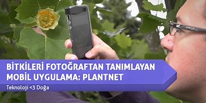 BİTKİLERİ FOTOĞRAFTAN TANIMLAYAN MOBİL UYGULAMA: PLANTNET