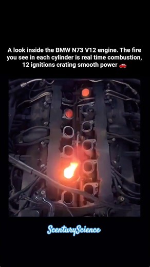 BMW V12 Engine #science #cars #bmw #combustion #v12