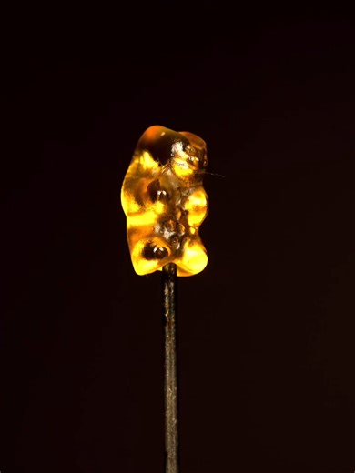 Macro Gummy Bear Melt: Satisfying Close-Up 🍭 #oddlysatisfying #macro #asmr #gummybear #melting