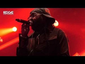Tarrus Riley - She's Royal Live At Reggae Geel Festival
