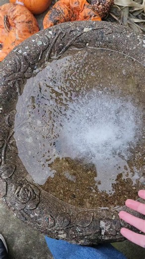 Ice Breaking ASMR: Relax with Soft and Crunchy Sounds