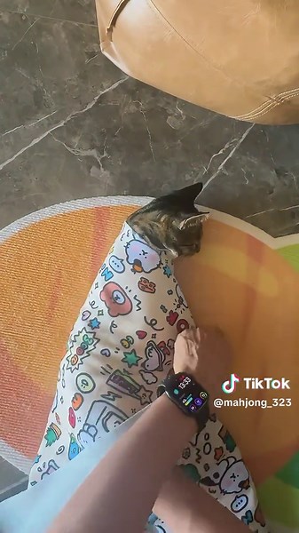 Magic Cloth: The Ultimate Multifunctional Cat Care Tool