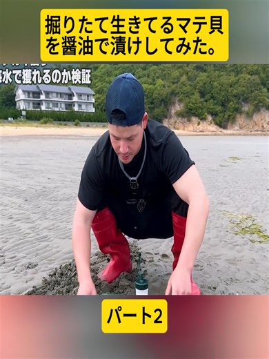 生きたマテ貝の醤油漬け体験